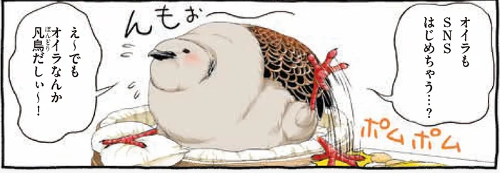 SNSにキラキラ投稿したい！キジバトくん、日記をはじめました／キジバトくん日記（1）