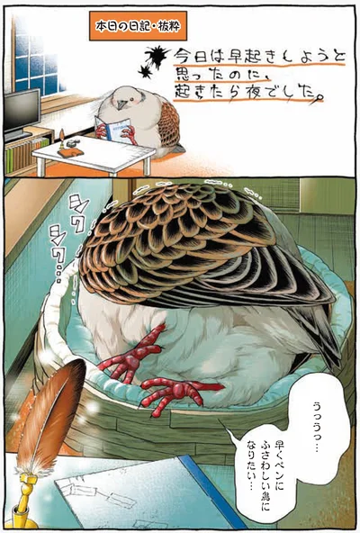 起きたら夜でした。