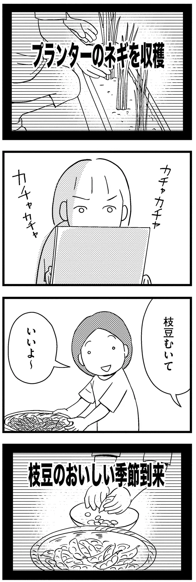 枝豆むいて