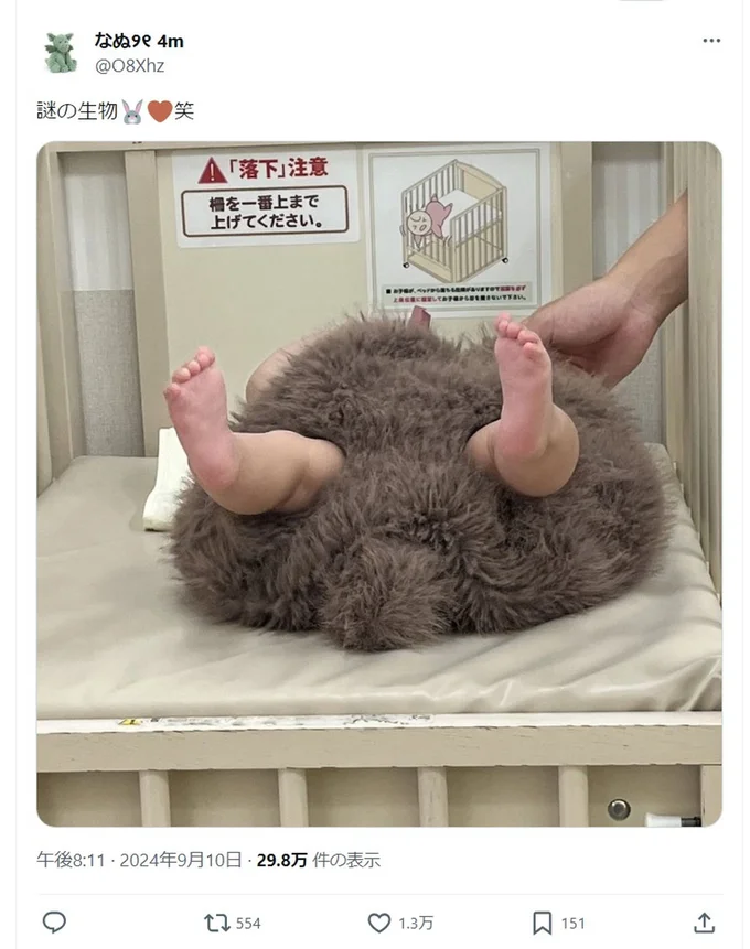 「謎の生物」と投稿されました▶これはいったい…?(⇒次へ)
