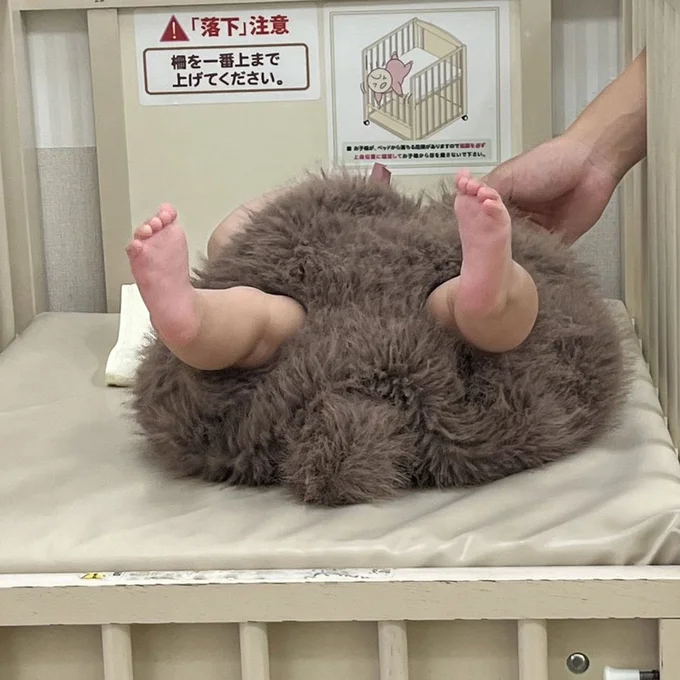 正体はモフモフから出ている両足が可愛い赤ちゃん!▶このモフモフの正体は…(⇒次へ)