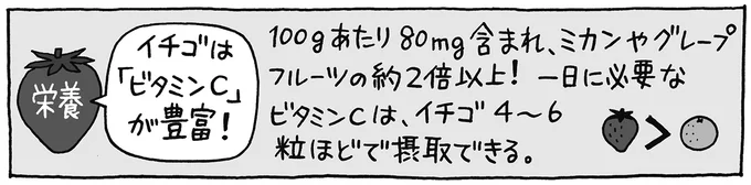 イチゴは「ビタミンC」が豊富!