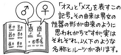 「オス」と「メス」の記号には意外なルーツがある
