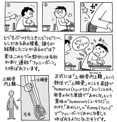 ヒジをぶつけたときにビリビリ～としびれる現象