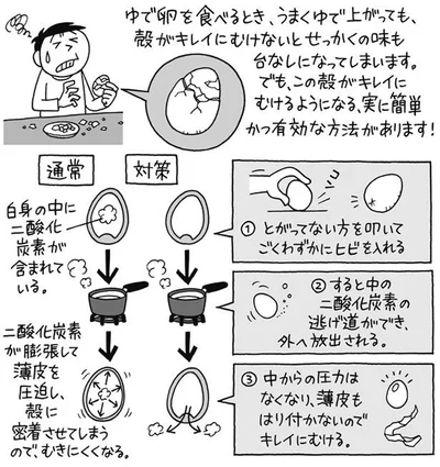 ゆで卵の殻がキレイにむける簡単な方法