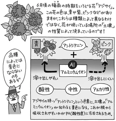 品種によっては青色にならないものも