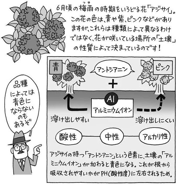 品種によっては青色にならないものも