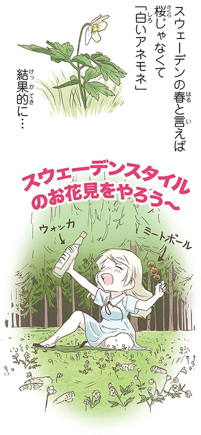 スウェーデンの春といえば桜じゃなくて「白いアネモネ」