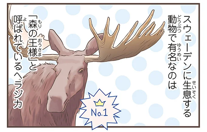 植物から動物まで。スウェーデンの「ビオタ」を北欧女子が解説!