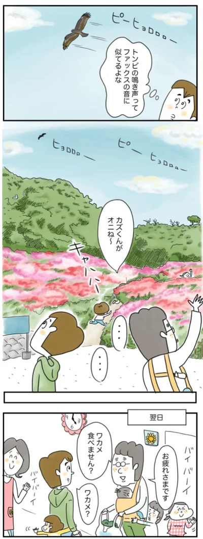 トンビの鳴き声