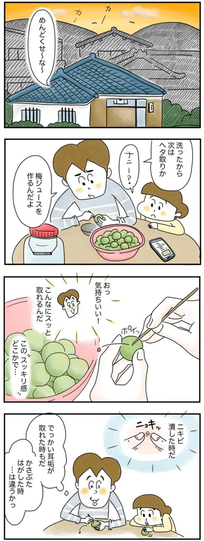 梅ジュースを作るんだよ