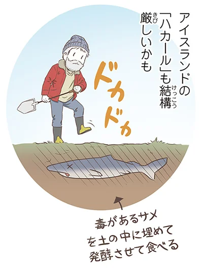 アイスランドの「ハカール」も結構厳しいかも