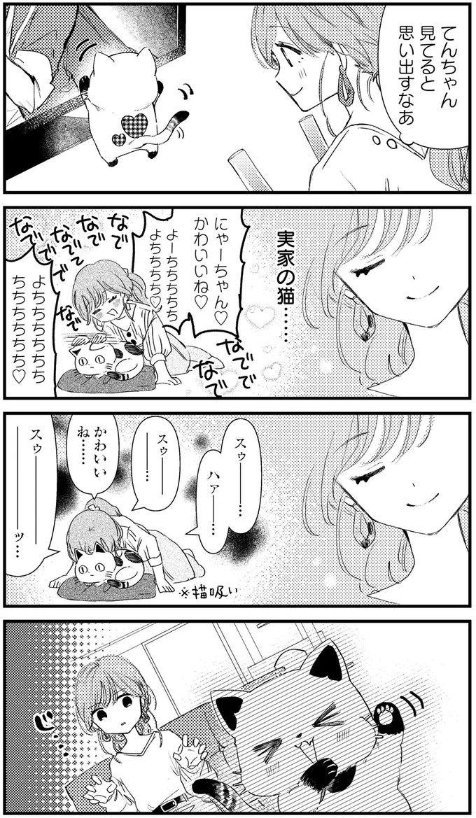 実家の猫…