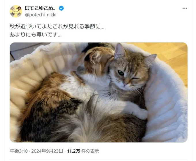 あまりにも尊い写真!▶秋が近づくとこの季節です(⇒次へ)