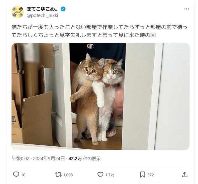 ちょっと見学失礼します▶中の様子に興味津々!(⇒次へ)