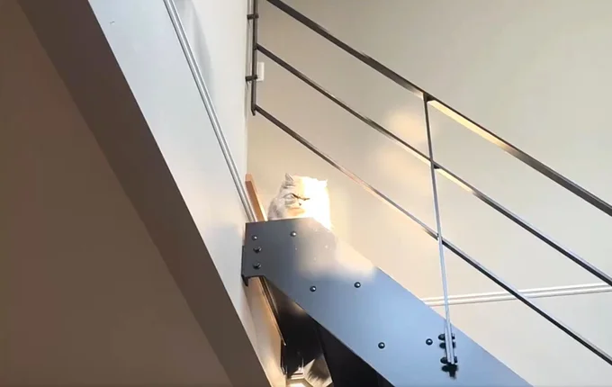 じーっとこちらを見ているようです▶よく見て見ると…(⇒次へ)