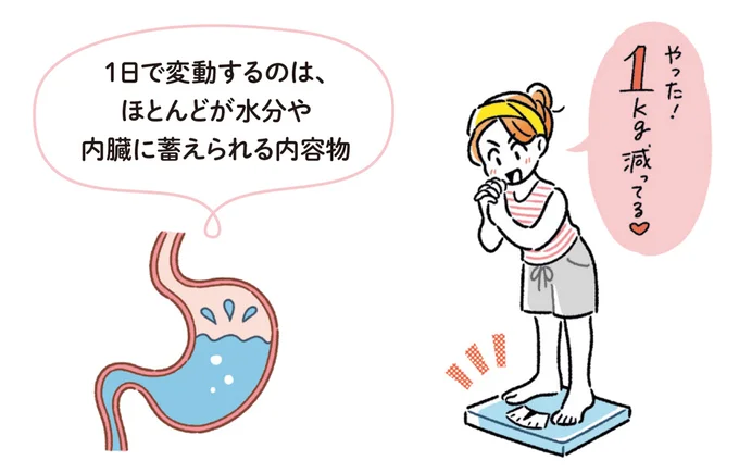 1日で変動するのは、ほとんどが水分や内臓に蓄えられる内容物