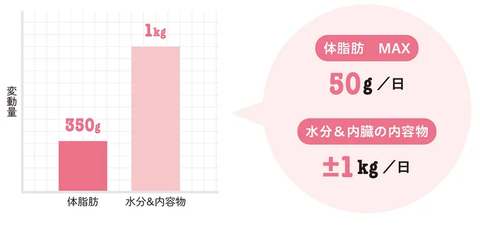 体脂肪と水分&内容物の変動量