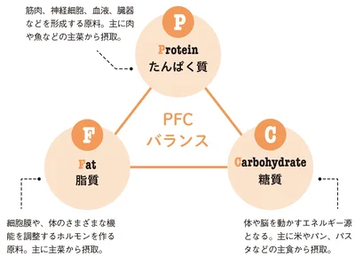 PFCバランスとは三大栄養素のバランスのこと