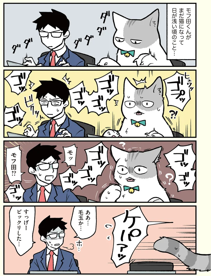 ああ…毛玉か…すっげービックリした…