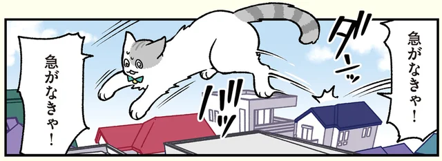 SNSで話題の「空飛ぶ猫」。遅刻しそうになった猫社員がトレンドに！
