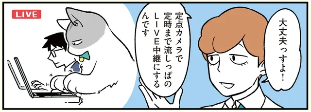 仕事風景をライブ配信？ 猫になった社員を広報に使いたい！