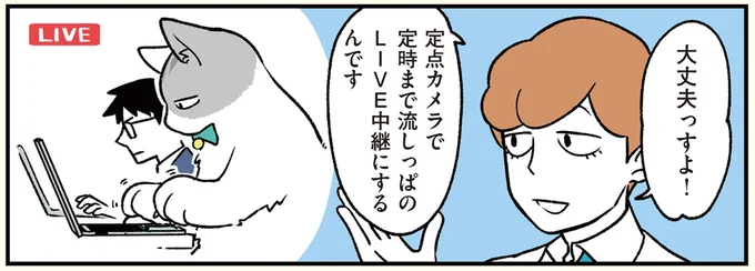 定点カメラでLIVE中継?