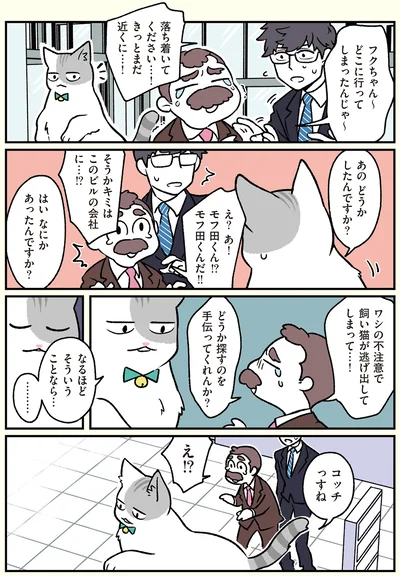 飼い猫が逃げ出してしまって…