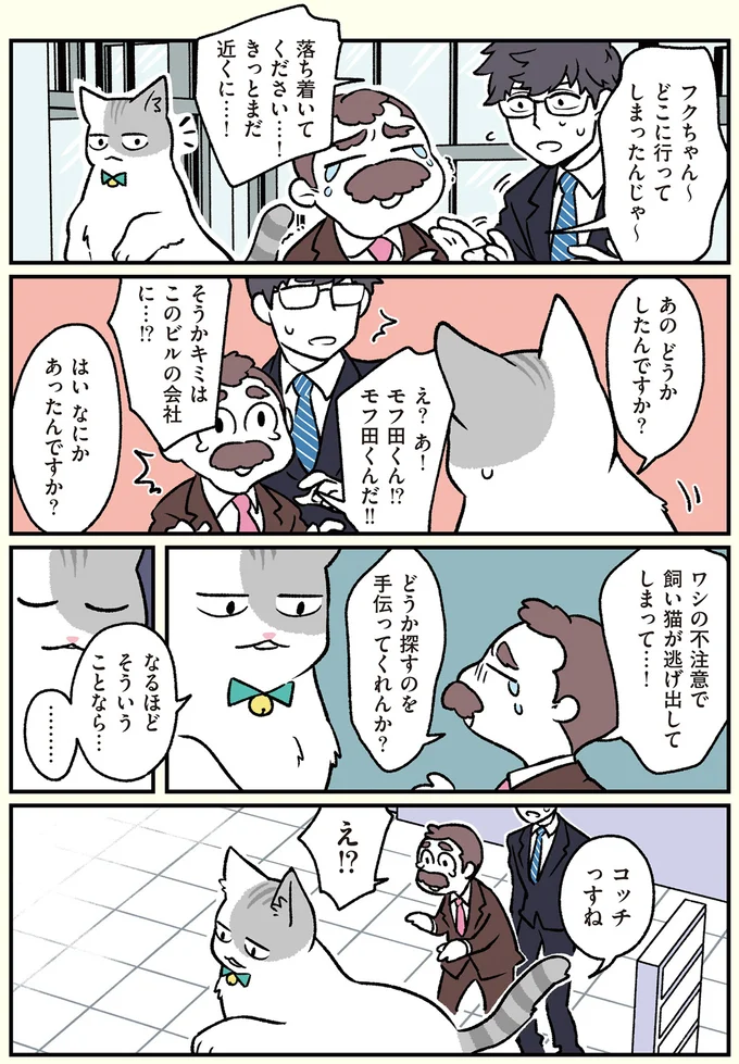 飼い猫が逃げ出してしまって…
