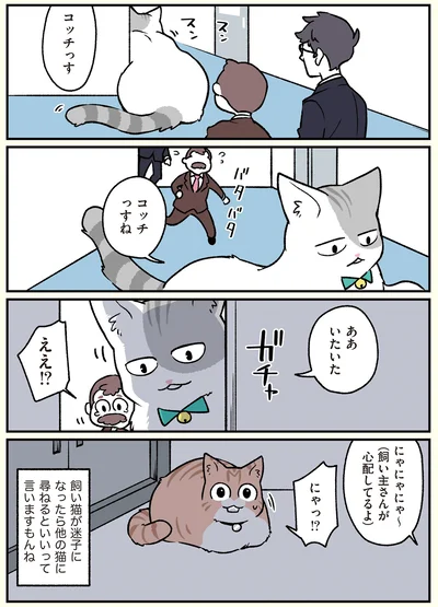 ああいたいた