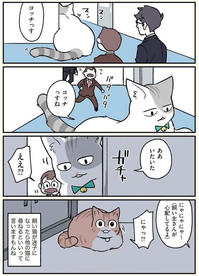 ああいたいた