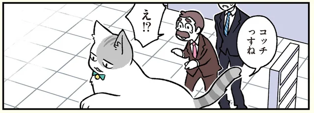 迷子猫の行方は猫に聞くのが一番！ 猫社員によるファインプレー