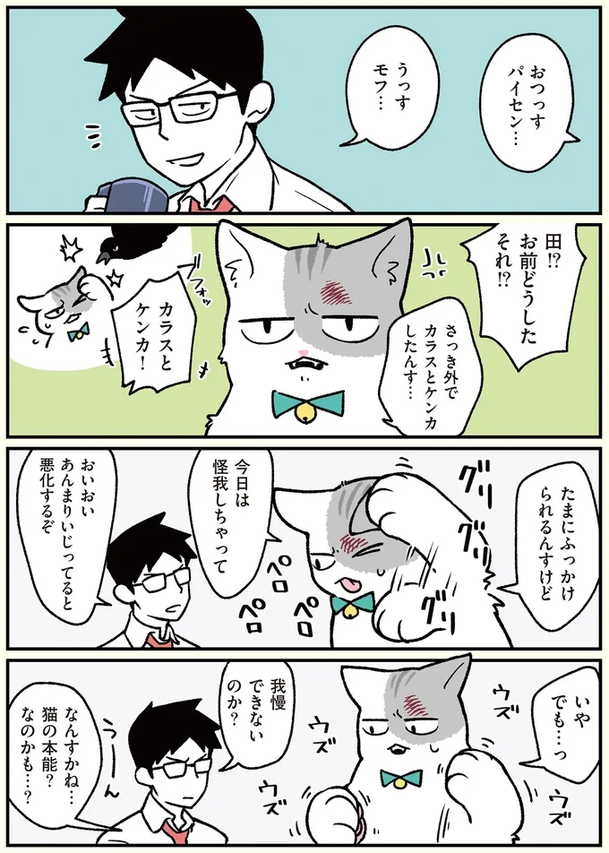 あんまりいじってると悪化するぞ