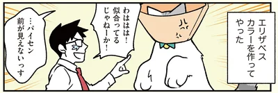 エリザベスカラーを装着