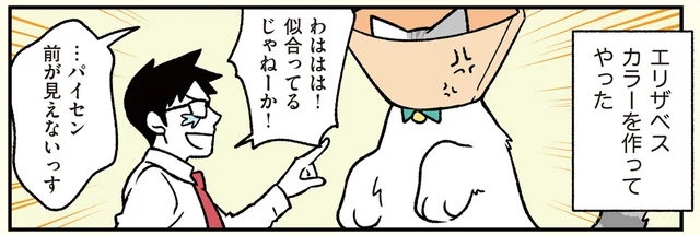 「で、出たー！」ケガをした猫社員への先輩の優しさが、都市伝説を生み出した