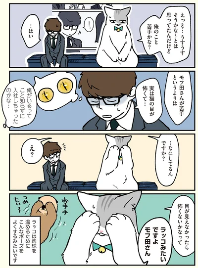実は猫の目が怖くて…