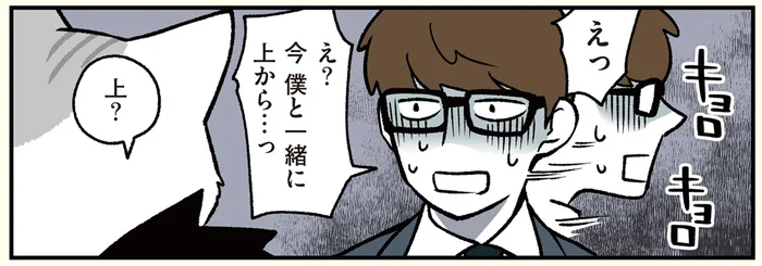 今一緒にいた巨大猫は何者？ 深夜の会社に現れた謎の存在に驚愕