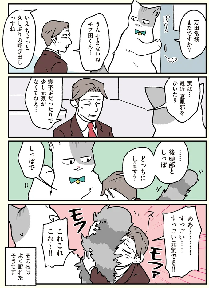 後頭部としっぽ　どっちにします？