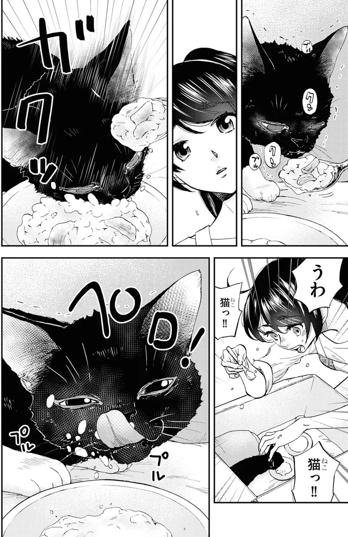 猫っ!!