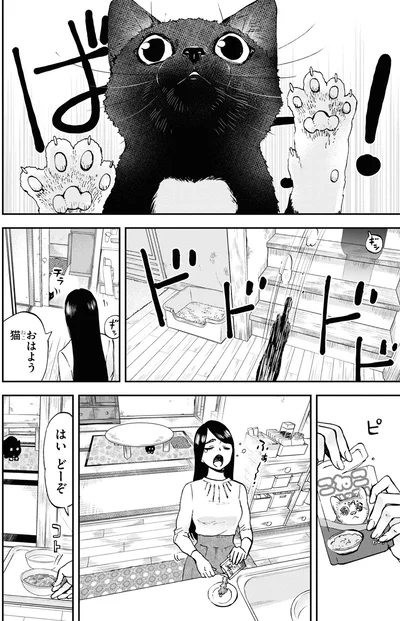 おはよう猫