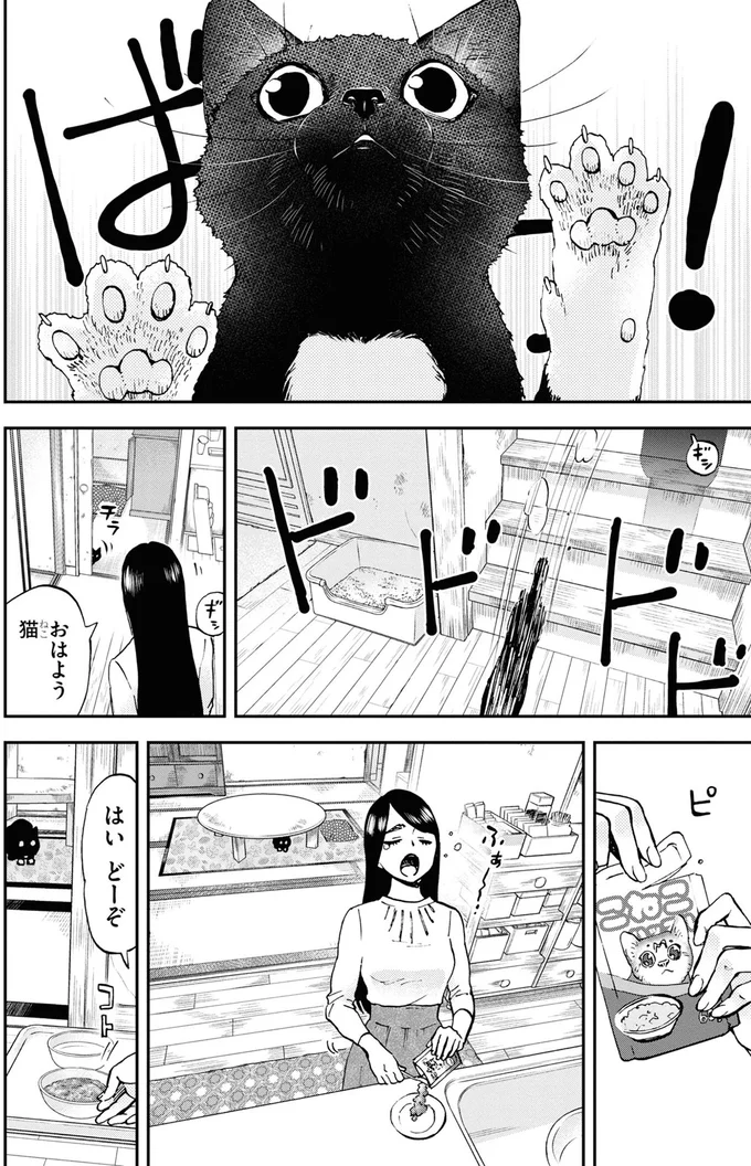 おはよう猫