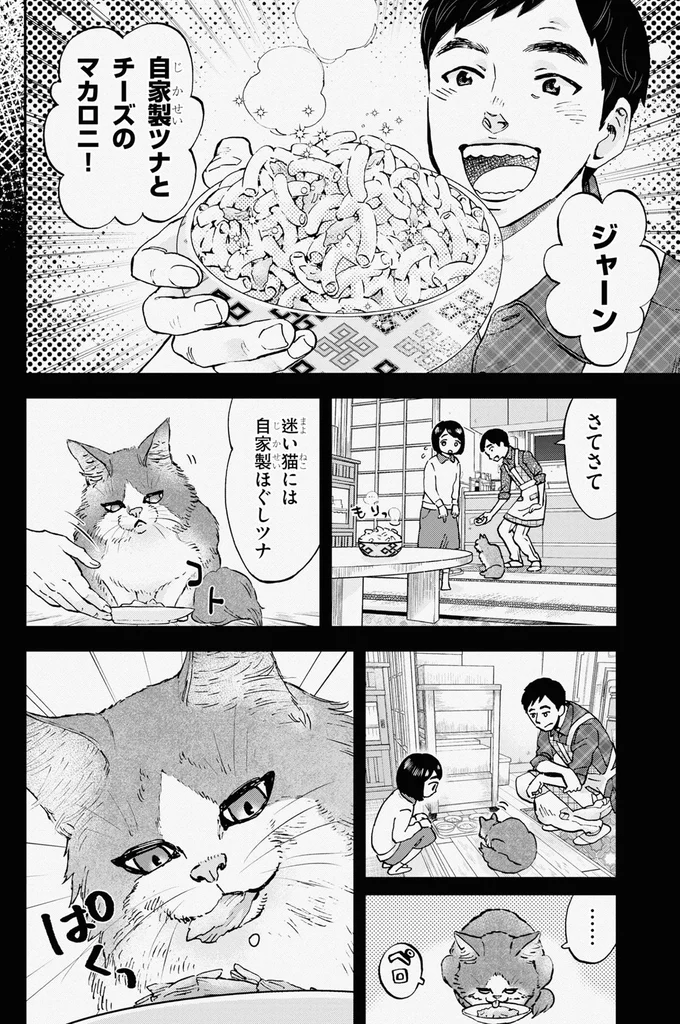 迷い猫には自家製ほぐしツナ