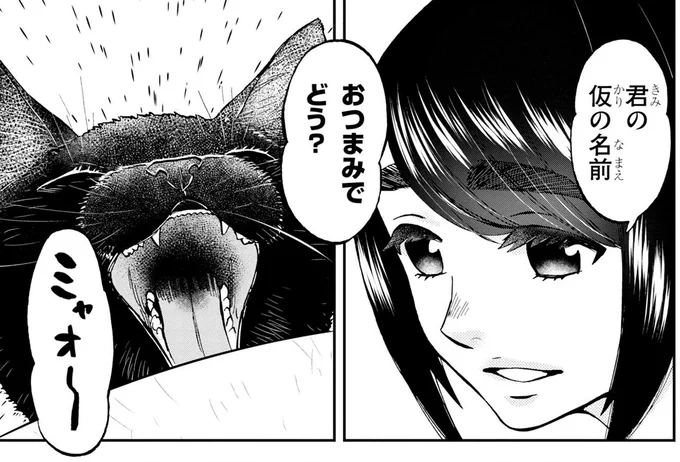おつまみでどう?