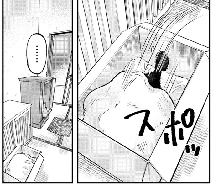 スポッ