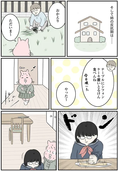 シフォンケーキ置いとるけん