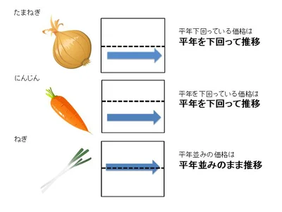 8月の曇天続きが野菜の生育にも影響した模様