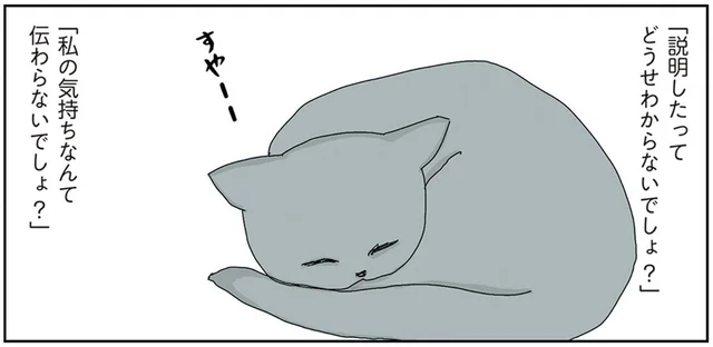 飼い猫の気持ちは？相手を思いやることの大切さを再認識した話