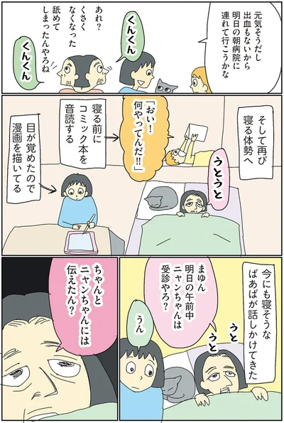 ちゃんとニャンちゃんには伝えたん？