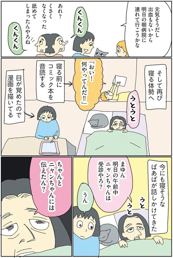 ちゃんとニャンちゃんには伝えたん？