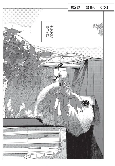 大丈夫になりたい